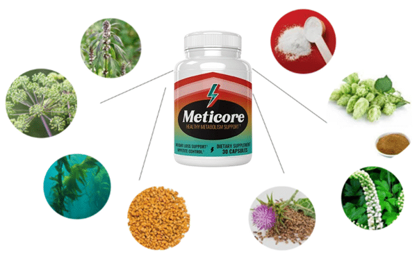 Meticore Ingredients