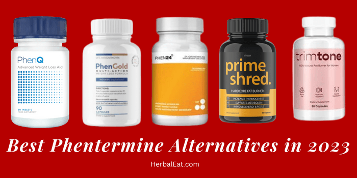 Best Phentermine Alternatives in 2023